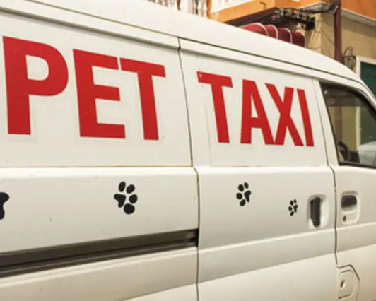 Pet Taxi van