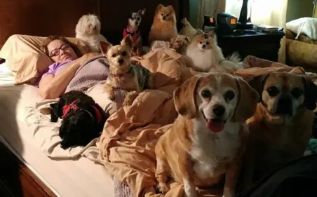 Women laying in bed with many dogs
